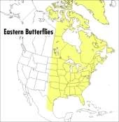 Peterson Field Guide To Eastern Butterflies, A