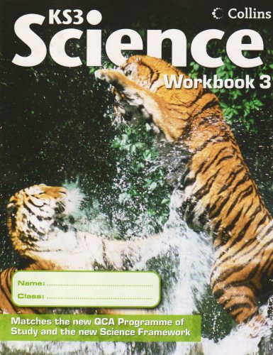Workbook 3