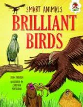 Brilliant Birds: Ace Mimics, Night Hunters and Epic Journeys