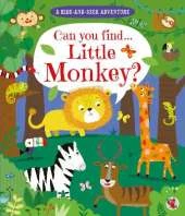 A Hide and Seek Adventure: Can you find... Little Monkey?