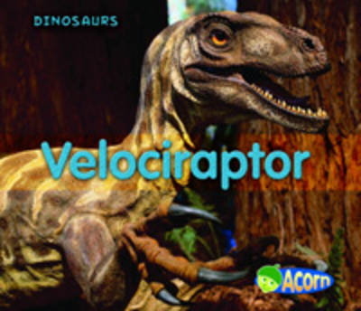Velociraptor