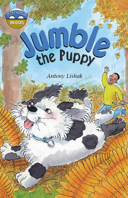 Storyworlds Bridges Stage 12 Jumble the Puppy 6 Pack