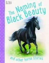 Naming of Black Beauty
