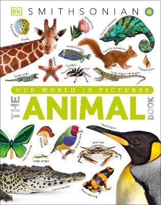 The Animal Book: A Visual Animal Kingdom Encyclopedia for Kids