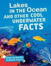 Lakes in the Ocean: Cool Underwater Facts
