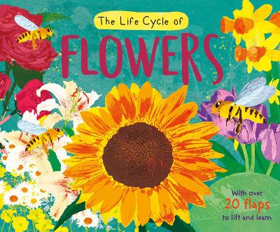 The Life Cycle of Flowers
