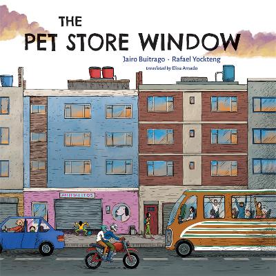 The Pet Store Window