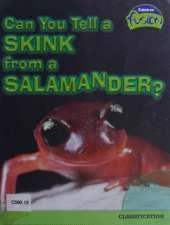 Can You Tell a Skink from a Salamander?