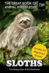 Sloths: The Sleepy Stars of the Rainforest