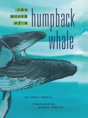 The Birth of a Humpback Whale