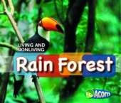 In a Rain Forest