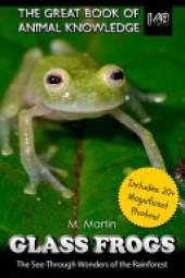 Glass Frogs: The See-Through Wonders of the Rainforest
