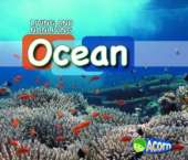 In the Ocean