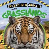 On the Grasslands