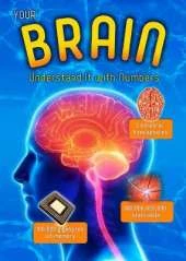 Your Brain: Understand it with Numbers
