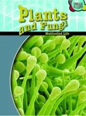 Plants and Fungi