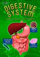 Your Digestive System: Understand it with Numbers
