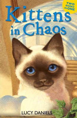 Animal Ark: Kittens in Chaos: Siamese in the Sun & Cat in the Candlelight