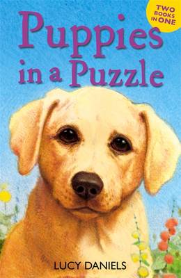 Animal Ark: Puppies in a Puzzle: Dalmatian in the Dales & Labrador on the Lawn