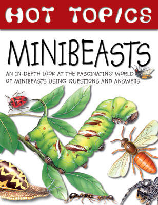 Hot Topics: Minibeasts