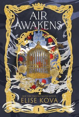 Air Awakens