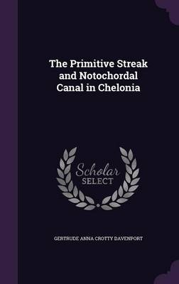 The Primitive Streak and Notochordal Canal in Chelonia