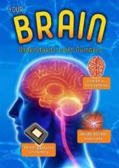 Your Brain: Understand it with Numbers