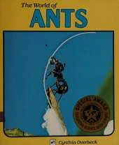 Ants Hb