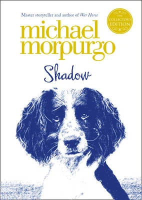 Shadow
