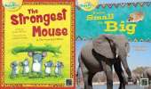 The Strongest Mouse Big Book