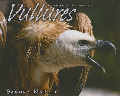 Vultures