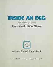 Inside An Egg