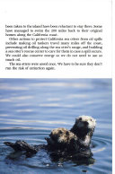 Jane Goodall's Animal World: Sea Otters