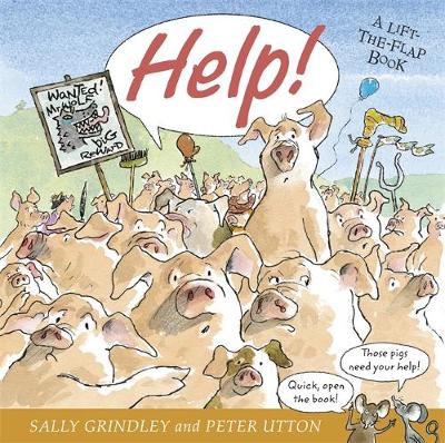 Help!: Lift-the-Flap Book