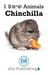 Chinchilla