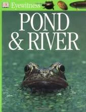 Pond & River