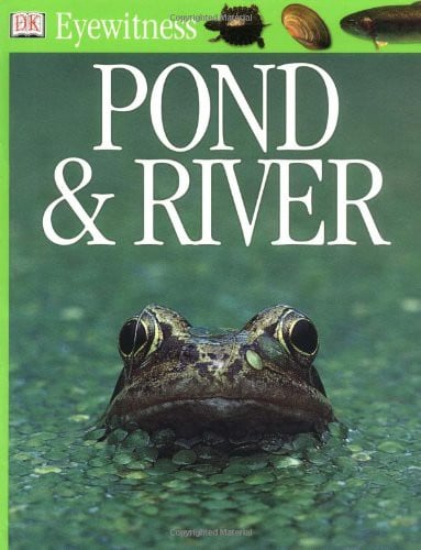 Pond & River