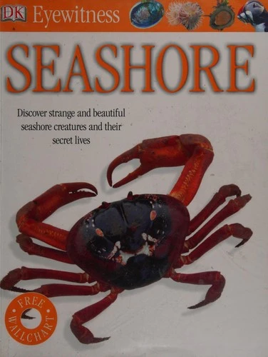 Seashore
