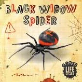 Black Widow Spider