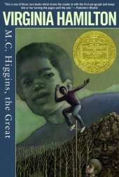 M.c. Higgins, the Great