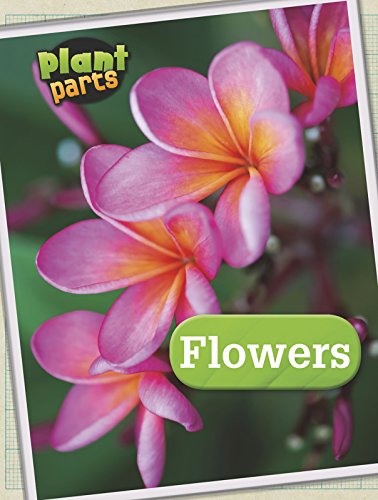 Plant Parts Pack A of 5