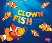 Clown Fish