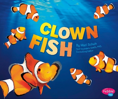 Clown Fish