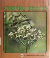 Chirping Insects