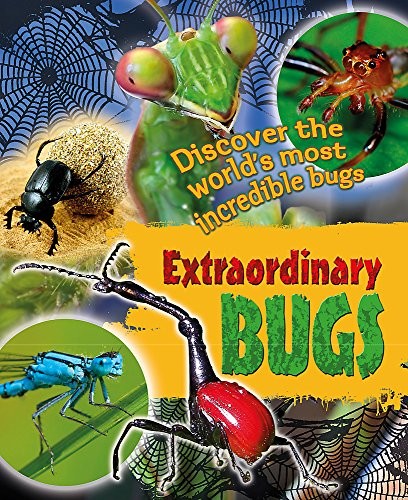 Extraordinary Bugs