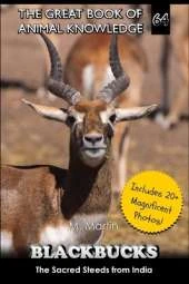 Blackbucks: The Sacred Steeds from India