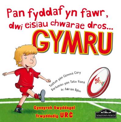 When I Grow Up I'm Going to Play for Wales Gymru