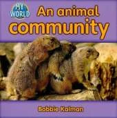 An animal community: Animals in My World