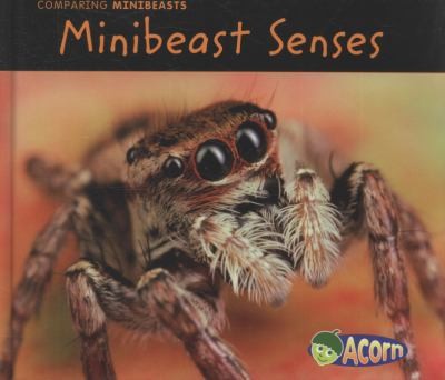 Minibeast Senses