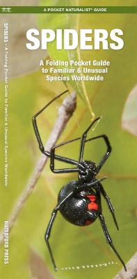 Spiders: A Folding Pocket Guide to Familiar Species Worldwide